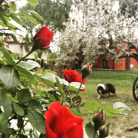 Feriehus Ca' Boschetto