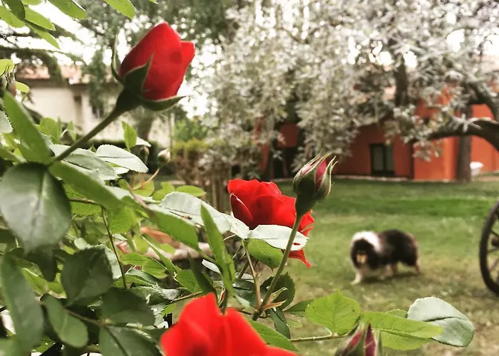 Nyaraló Ca' Boschetto